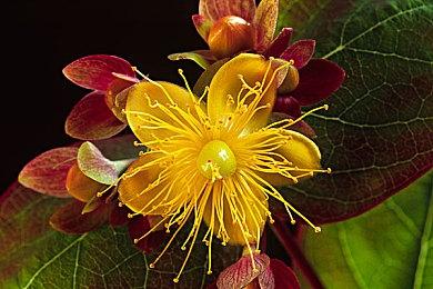 RTX 4090D 4K游戏性能仅比4090慢了6%